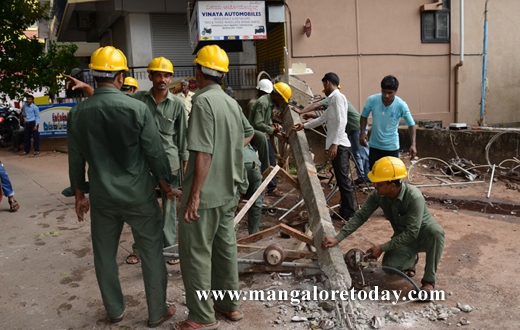 peepal tree karangalpady